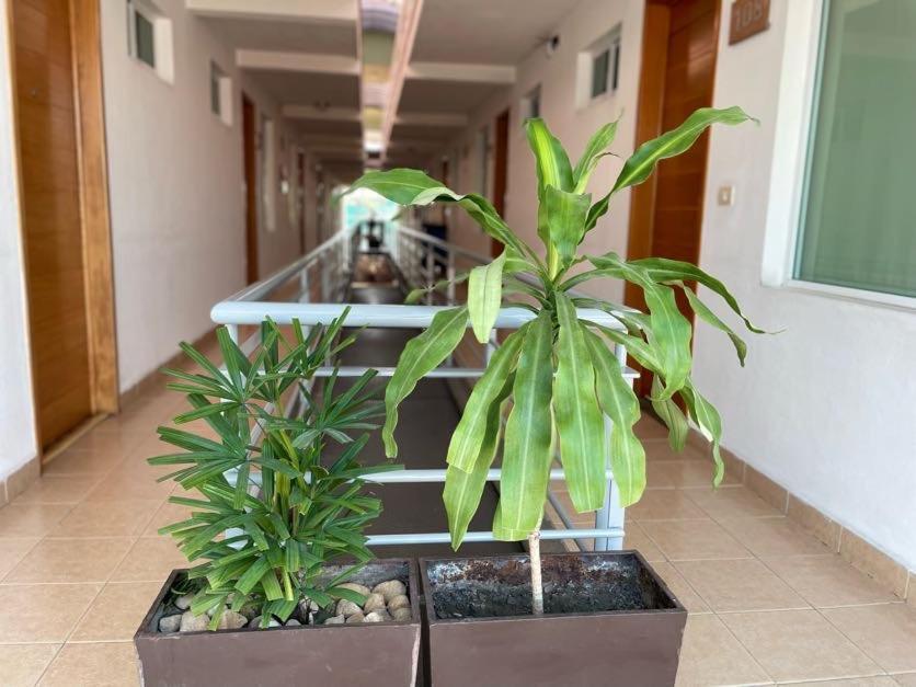 Hotel Santo Domingo Express Villahermosa Luaran gambar